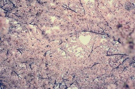 Poète de l’âme suivi des Soubresauts de l’âme de Nakato