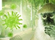 VARIOLE SINGE mutations favorables accélération propagation