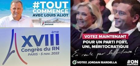 Louis Aliot n'a pas su convaincre ses amis du RN