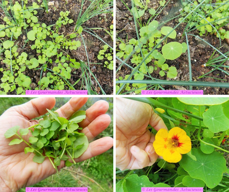 Sarrasinzotto aux pois chiches et poêlée de légumes (Vegan)