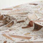 Forestbank, nouveau type de bois fabriqué à partir de débris d’arbres