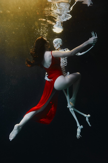 Interview de Harry Fayt