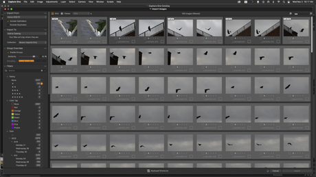 Capture One 23 examen Capture One 23 examen