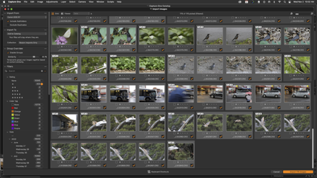 Capture One 23 examen Capture One 23 examen