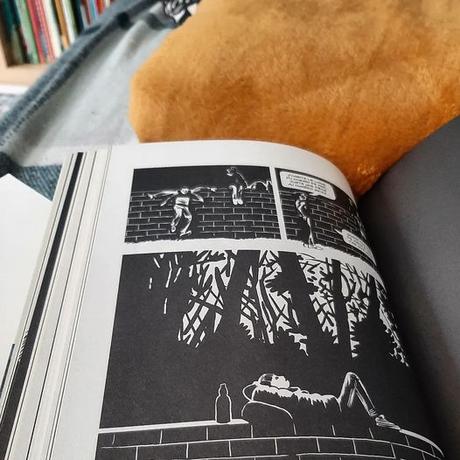 Le muret, Fraipont & Bailly… ma BD de la semaine !!