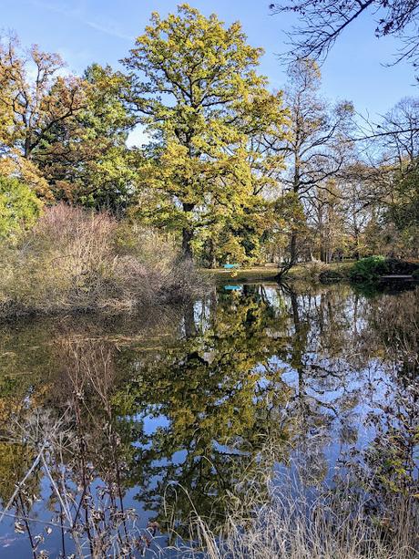 Automne lumineux au jardin botanique de Munich — 40 Bilder / 40 photos — Leuchtender Herbst im Botanischen Garten München