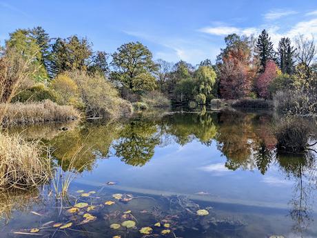 Automne lumineux au jardin botanique de Munich — 40 Bilder / 40 photos — Leuchtender Herbst im Botanischen Garten München