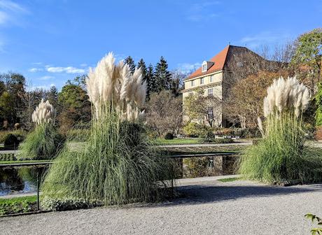 Automne lumineux au jardin botanique de Munich — 40 Bilder / 40 photos — Leuchtender Herbst im Botanischen Garten München