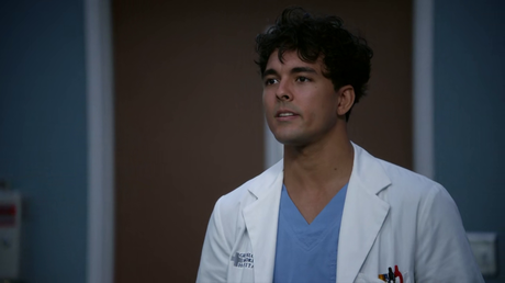 Critiques Séries : Grey's Anatomy. Saison 19. Episode 6.