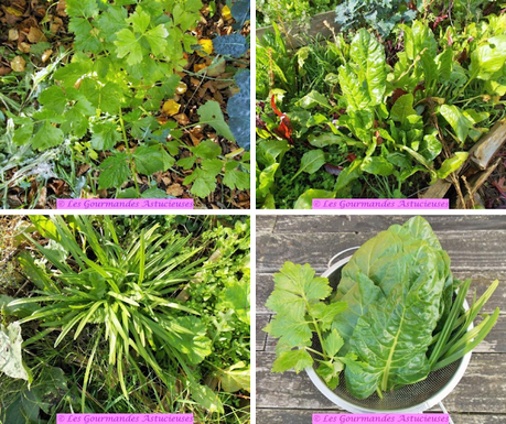 Sauce onctueuse et gourmande pour un reste de pâtes (Vegan)