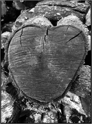 Pedro Salinas / Raison d'amour ∼ Razón de amor