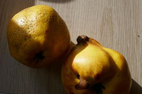 L’alouette et la cendre du dernier camp