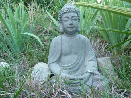 jardin,fleurs,jardinage,plantes,novembre,automne,culture