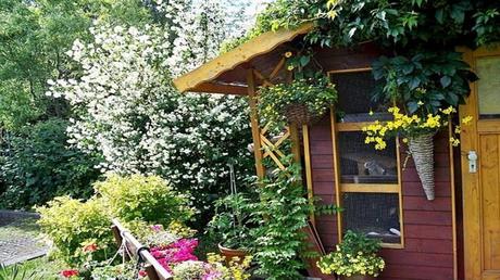 Divers - Quelques jolies images