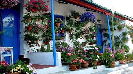 Divers - Quelques jolies images