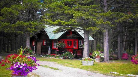 Divers - Quelques jolies images