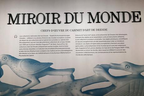 Musée du Luxembourg  « Miroir du Monde »