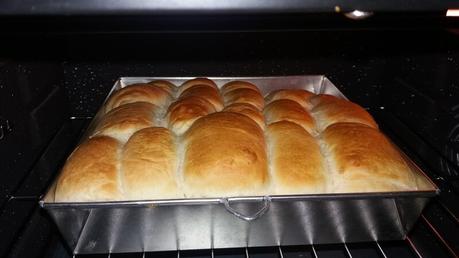 Dinner rolls (petits pains briochés) 20171015_160752.jpg