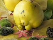 Pâtes Fruits Gelée Coings Recette Thermomix Robot Cuiseur)