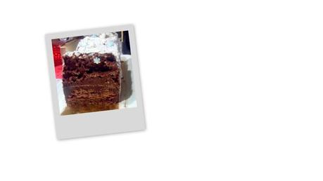 Bûche de noël au chocolat Saved Pictures-001