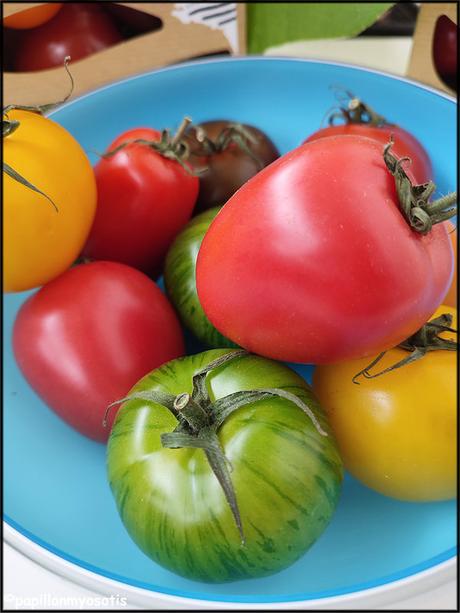 Tomates saveurs d'antan Prince de Bretagne_4