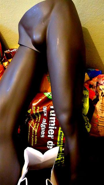 le consentement le consentement