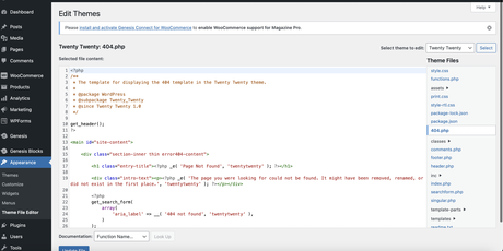 Comment créer une page 404 personnalisée dans WordPress Thème 2020 404 pages