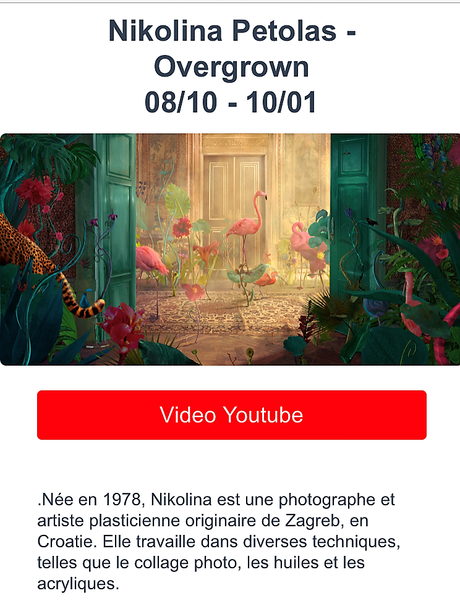 Galerie BORIS –  exposition  Nikolina Petolas – « Overgrown » prolongation jusu’au 10 01 2023.