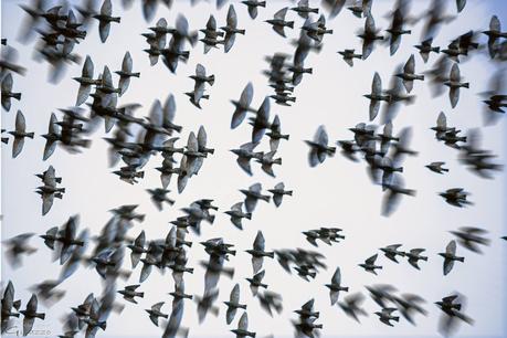 46668710_10216993262040807_5502232514996994048_o