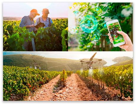Séance Cultivons l’avenir axée sur les expériences des producteurs avec la technologie des vignobles