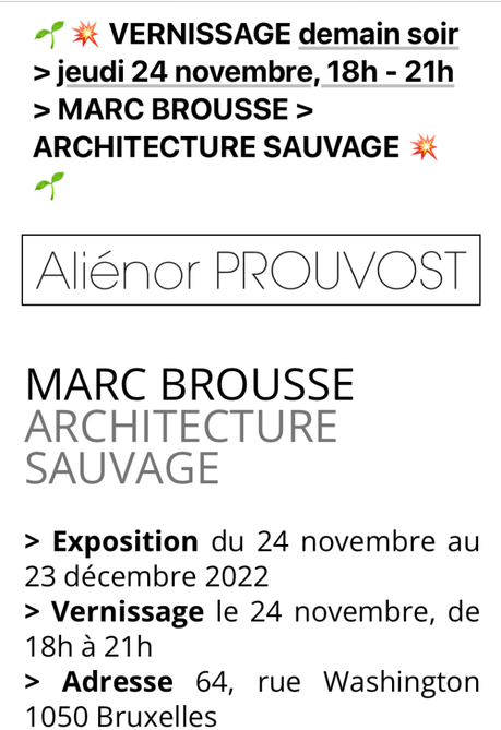 Galerie Aliénor Prouvost – Bruxelles – à partir du 24/11/2022. « Marc Brousse »