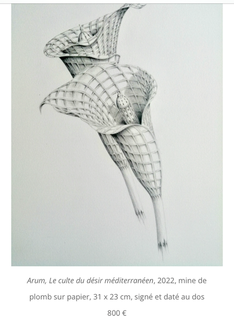 Galerie Aliénor Prouvost – Bruxelles – à partir du 24/11/2022. « Marc Brousse »