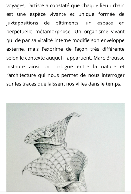 Galerie Aliénor Prouvost – Bruxelles – à partir du 24/11/2022. « Marc Brousse »