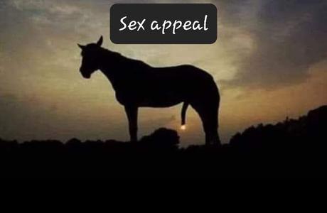 L'image de la semaine