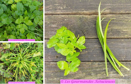 Boulettes aux lentilles aux saveurs originales (Vegan) Boulettes aux lentilles aux saveurs originales (Vegan)