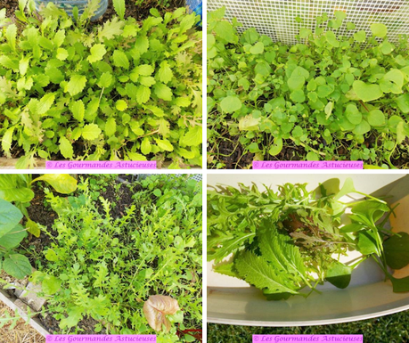 Boulettes aux lentilles aux saveurs originales (Vegan) Boulettes aux lentilles aux saveurs originales (Vegan)