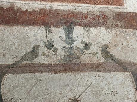 Reportage photos aux thermes de Caracalla — 50 photos