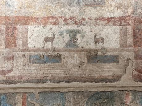 Reportage photos aux thermes de Caracalla — 50 photos