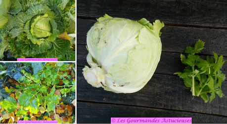 Chou aux champignons à la sauce enveloppante (Vegan) Chou aux champignons à la sauce enveloppante (Vegan)