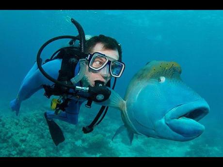 Divers - Photos bizarres