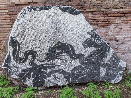 Les mosaïques en noir et blanc des thermes de Caracalla — 20 photos