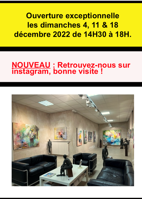 CRIDART à Metz – à partir du 10 décembre 2022. « Marion Robert »
