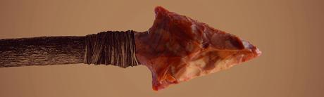 #CULTURE - #CHERBOURG - EXPOSITION : ARCHÉOLOGIE EN COTENTIN au musée Thomas Henry!