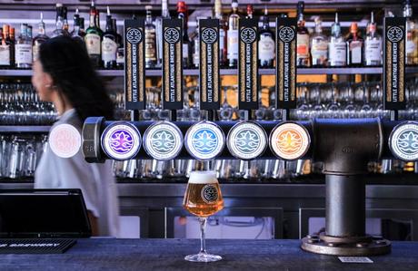 Instead repense les TAPHANDLES responsables ! Instead repense les TAPHANDLES responsables !