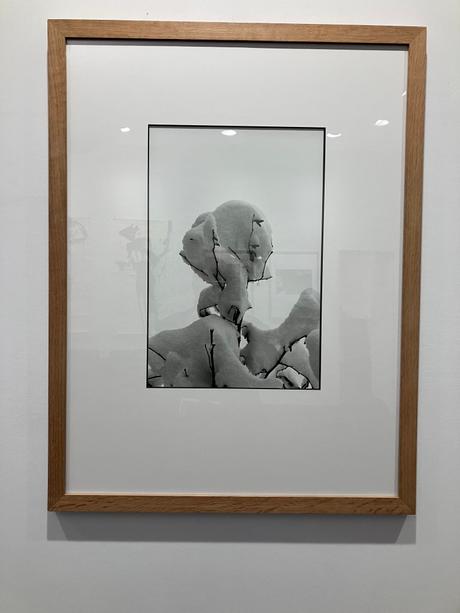 Galerie Maeght – exposition Peter Knapp – jusqu’au 15 Décembre 2022.