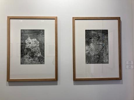 Galerie Maeght – exposition Peter Knapp – jusqu’au 15 Décembre 2022.