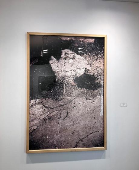 Galerie Maeght – exposition Peter Knapp – jusqu’au 15 Décembre 2022.