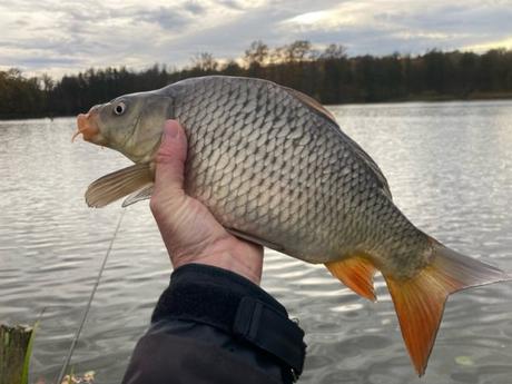 Session de pêche à l’anglaise