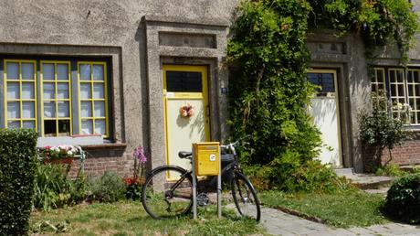 Focus Mister Emma sur BX1 durant les fêtes de fin d’année Focus Mister Emma sur BX1 durant les fêtes de fin d’année