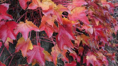 prendre les rennes à son cou prendre les rennes à son cou